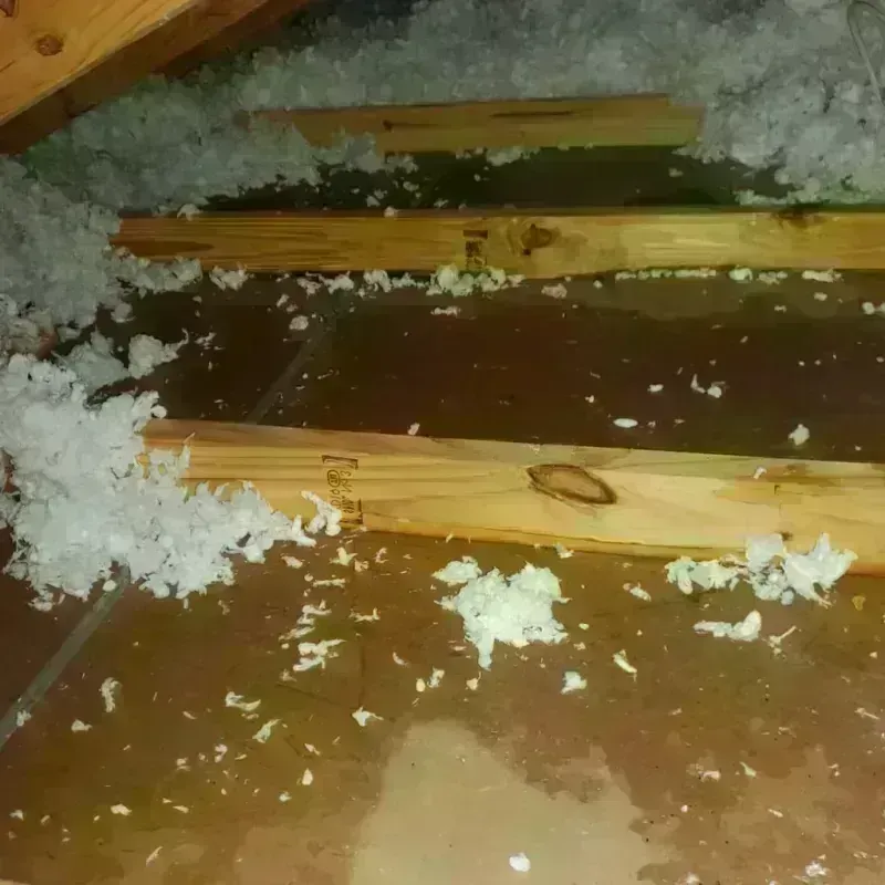 Attic Water Damage in Glendale, WV